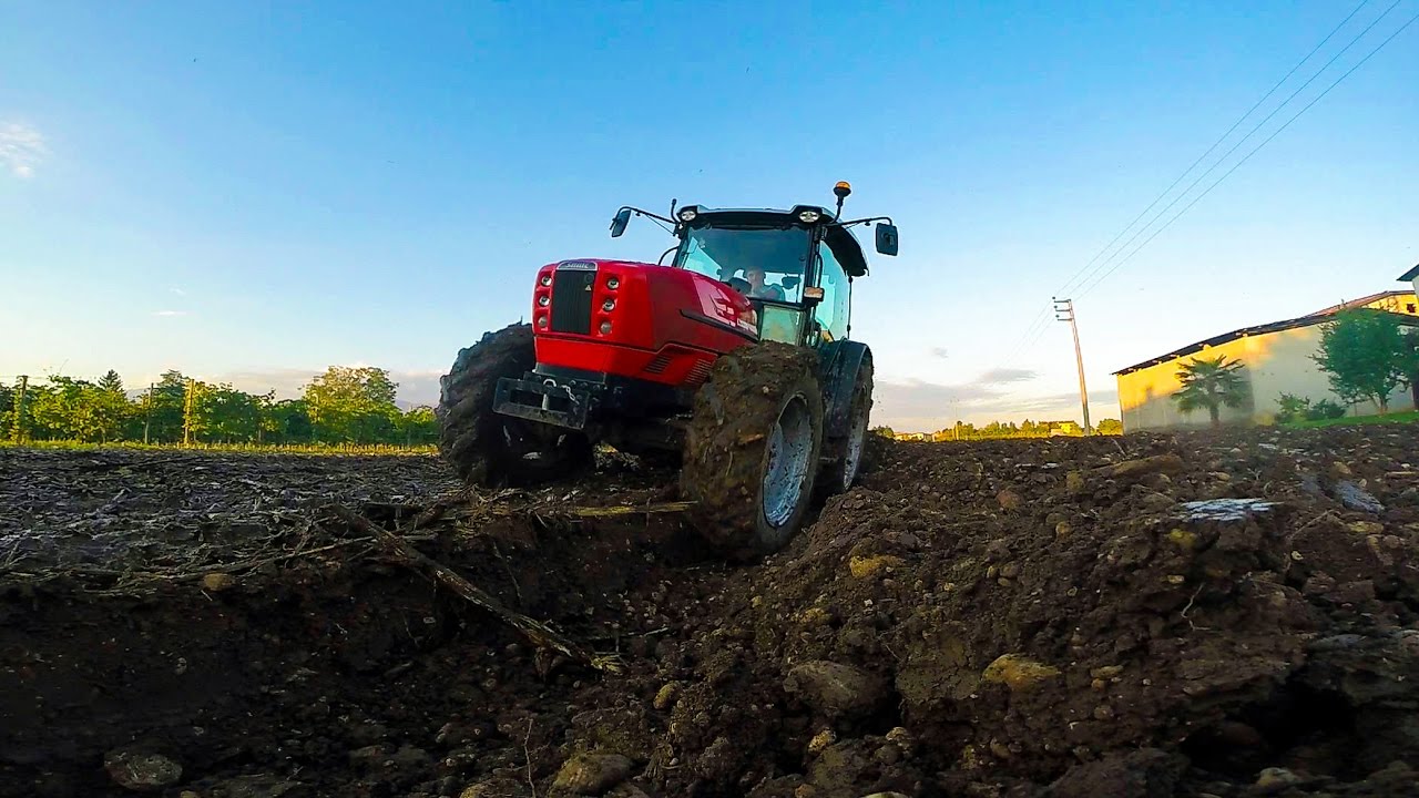 Aratura con same dorado 90 *GoPro*