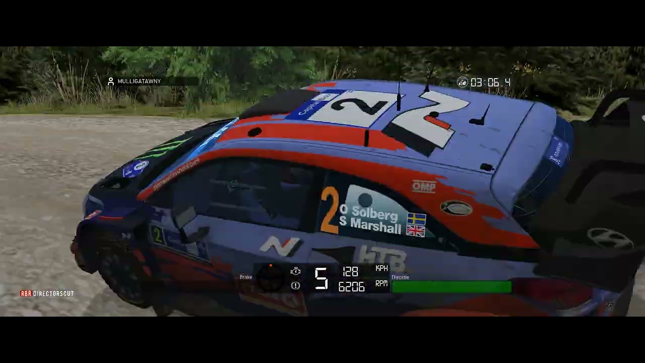 RBR richard burn rally ( Kuri Bush 2 ) emanuele455