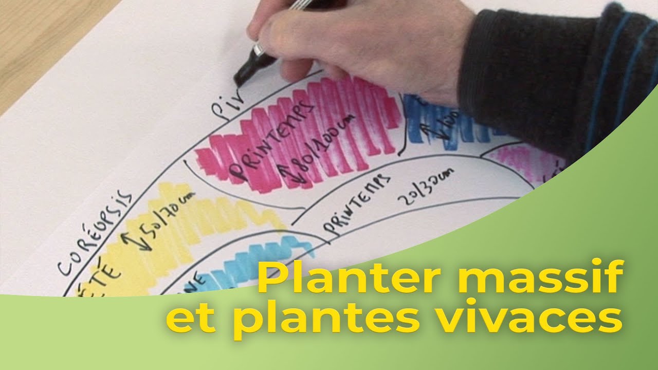 Planter massif de plantes vivaces