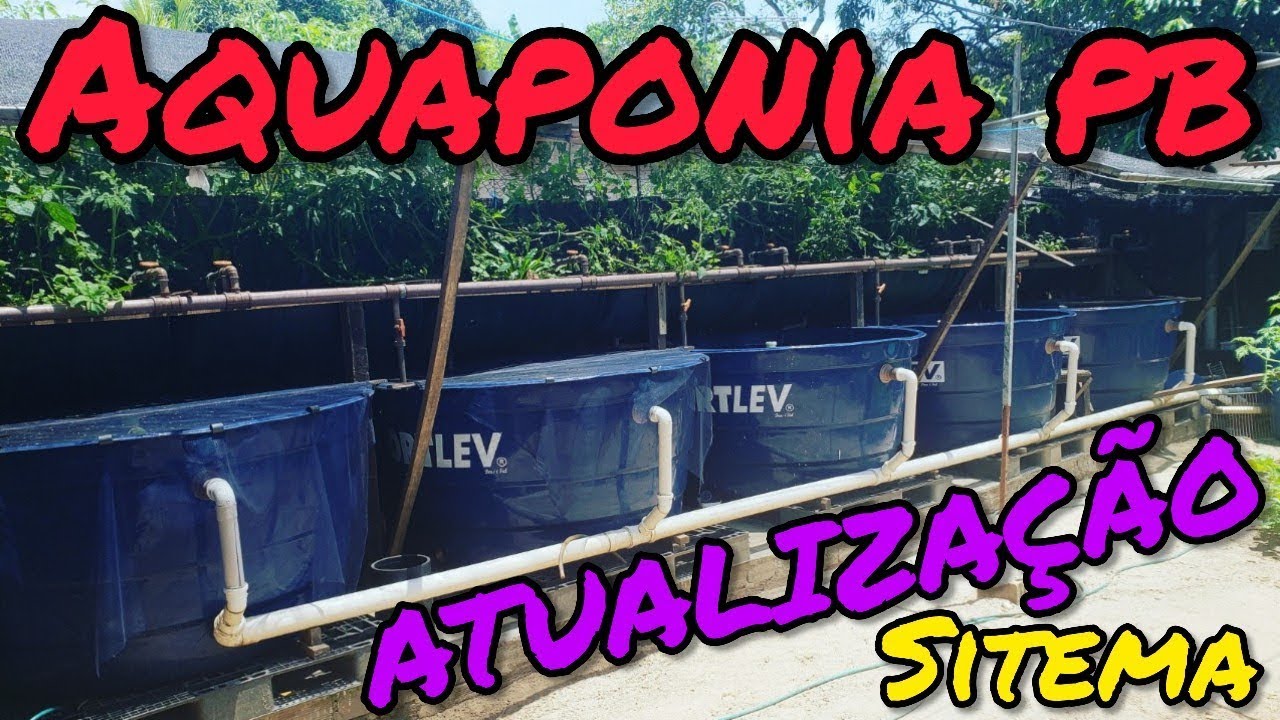Sistema Aquaponia Atualizado. (Aquaponics System Updated.)