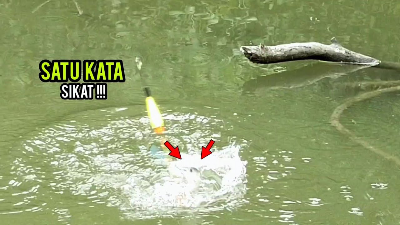 mancing di sini bener&sup2; gak waras ikannya|| tak henti hentinya di sambar,
