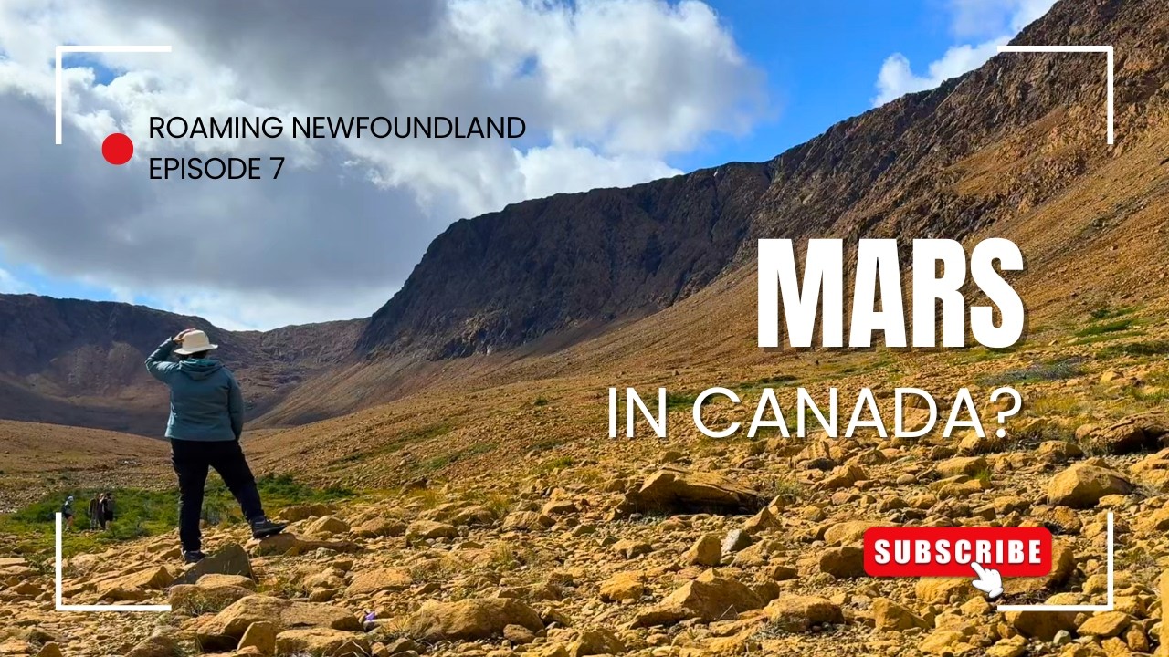 We Drove Across Newfoundland for THIS | Woody Point & the Tablelands
