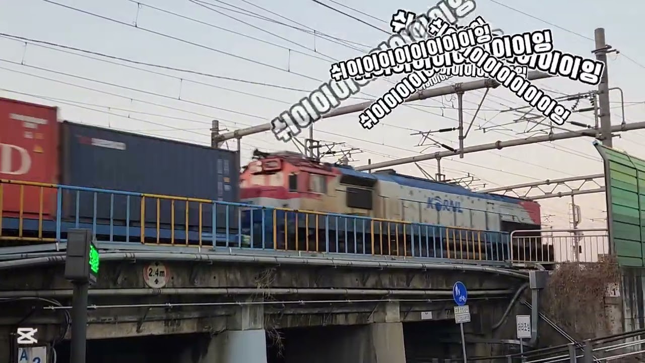 쉬이이이이이이이잉과 아아아아아아아아아앙의 만남