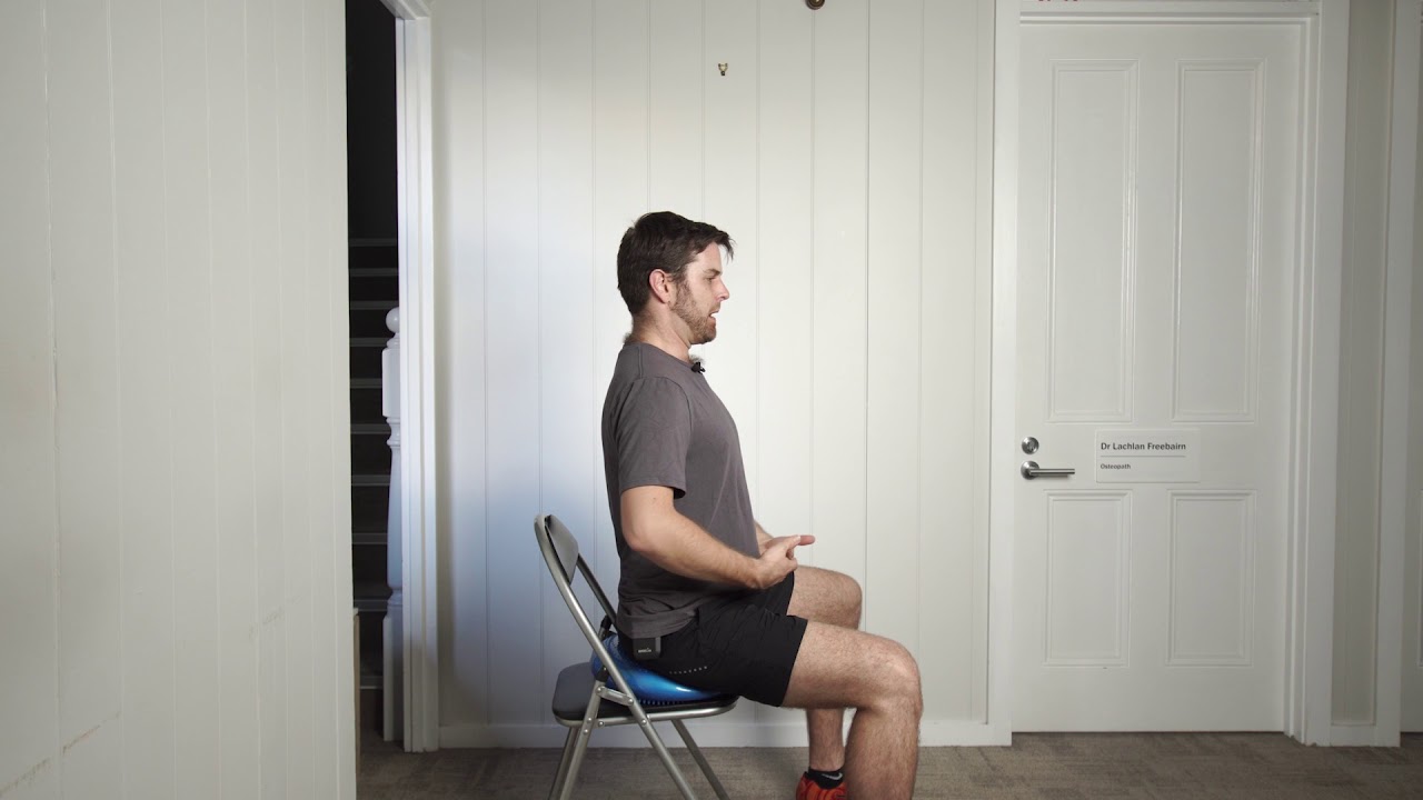 wobble cushion sitting