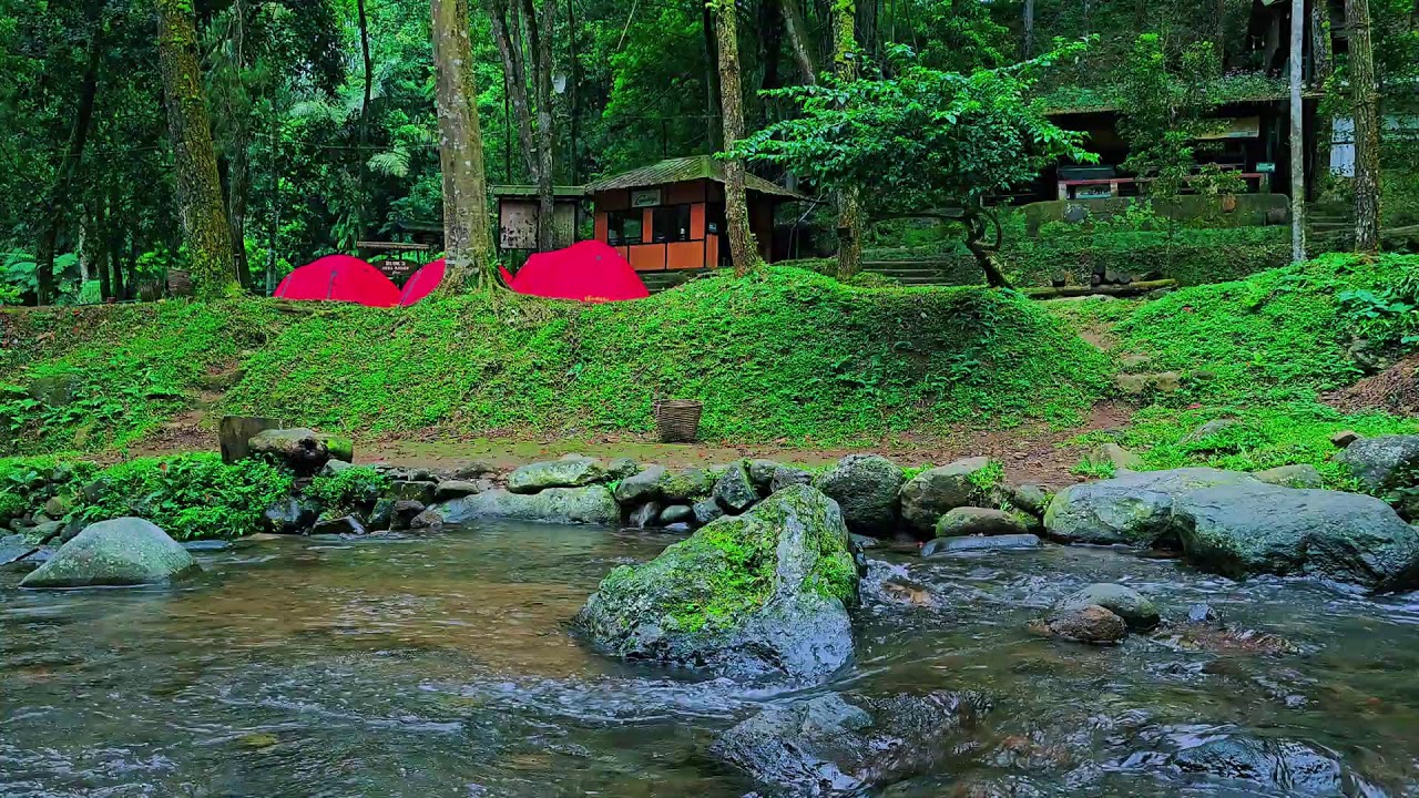Piano and River Relaxation Therapy for Better Sleep, Focus Energy, and Emotional Strength