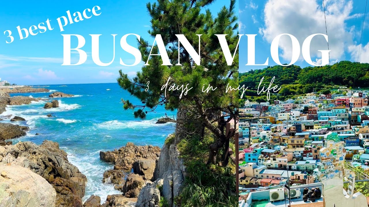 দক্ষিণ কোরিয়ার বুসানের ৩টি সেরা জায়গা। Top 3 places to visit in Busan,South Korea 🇰🇷 #southkorea 