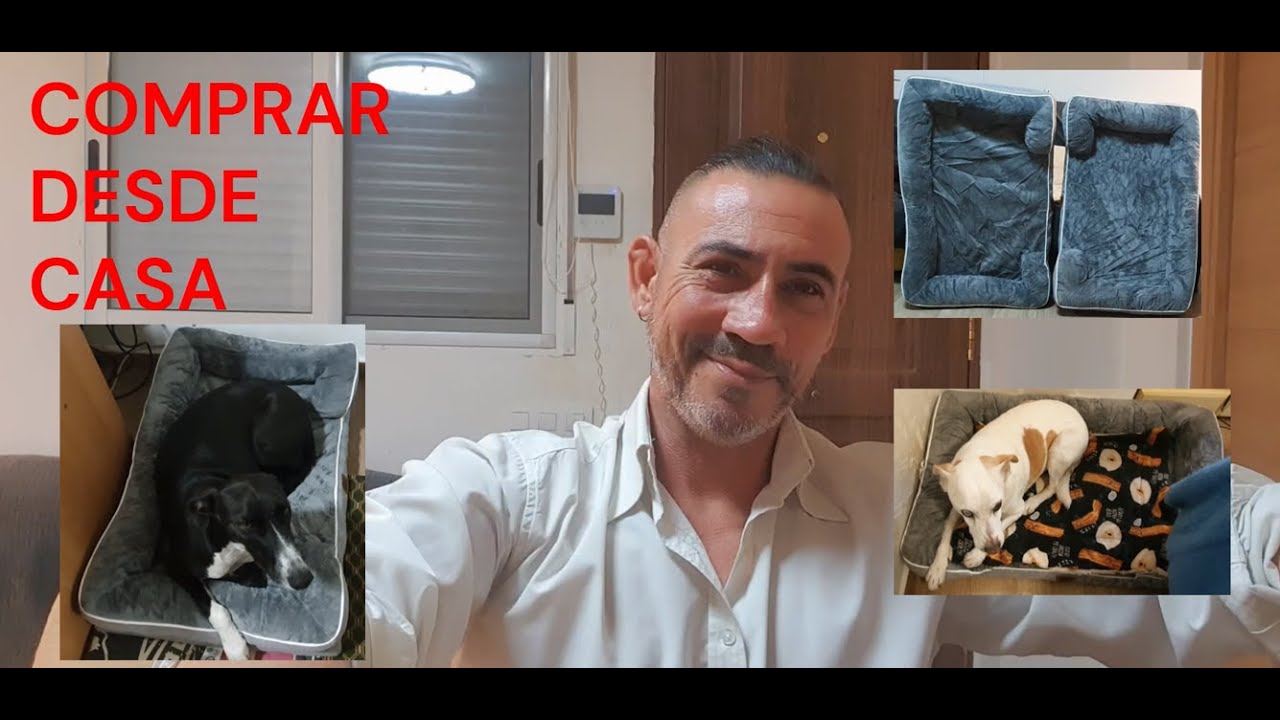 MIS CAJAS: CAMA ORTOPÉDICA PARA PERRO