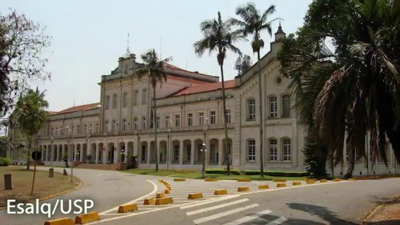 Piracicaba