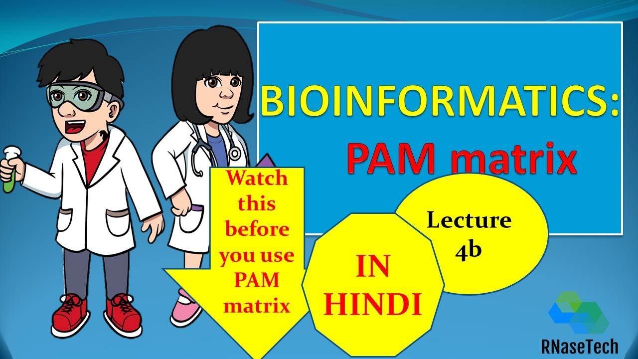Lecture 4b in Hindi PAM substitution matrix || How to create PAM matrix in Bioinformatics.