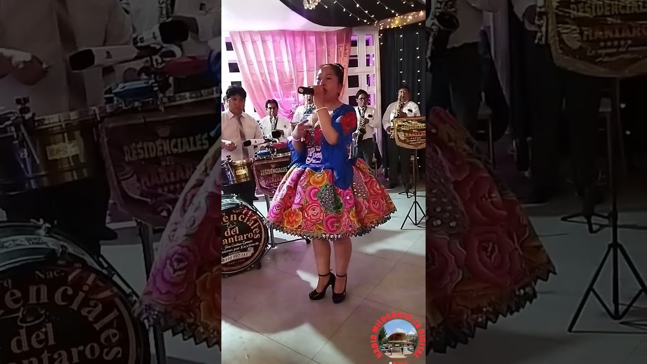 50 AÑOS ESTILO HUANCAVELICA EN MI DICCIONARIO QUEDARÁN RECUERDOS 🫶🎷🥁🎶