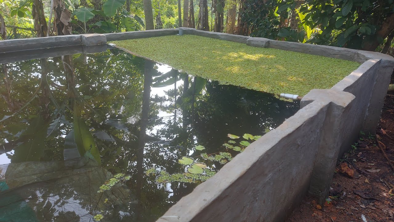 Fish tank making with cement and concrete at home for fish farming - @@Meen valarthal@@