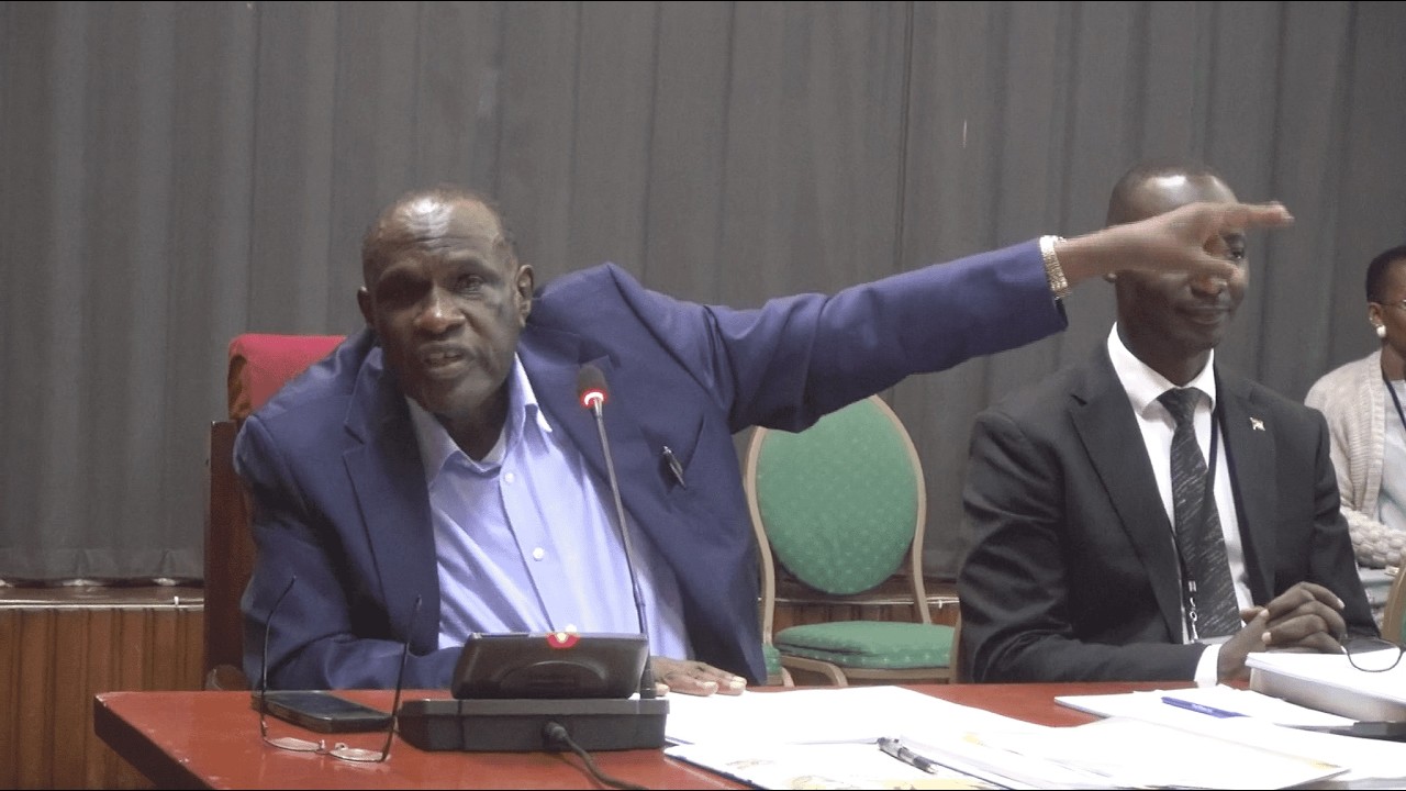 RDCs Who Messed Up Elections to be Fired: Office of the President Announces
