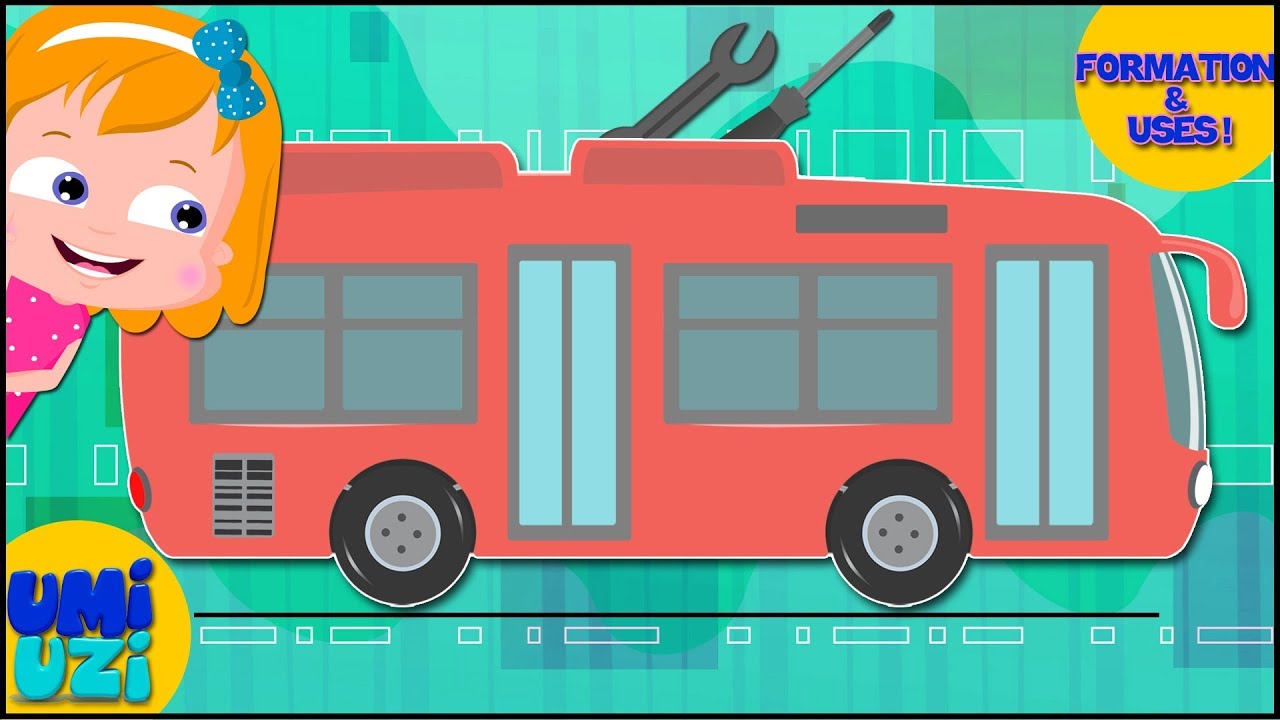 Mexico bus formation & uses | Video for kids | Umi uzi