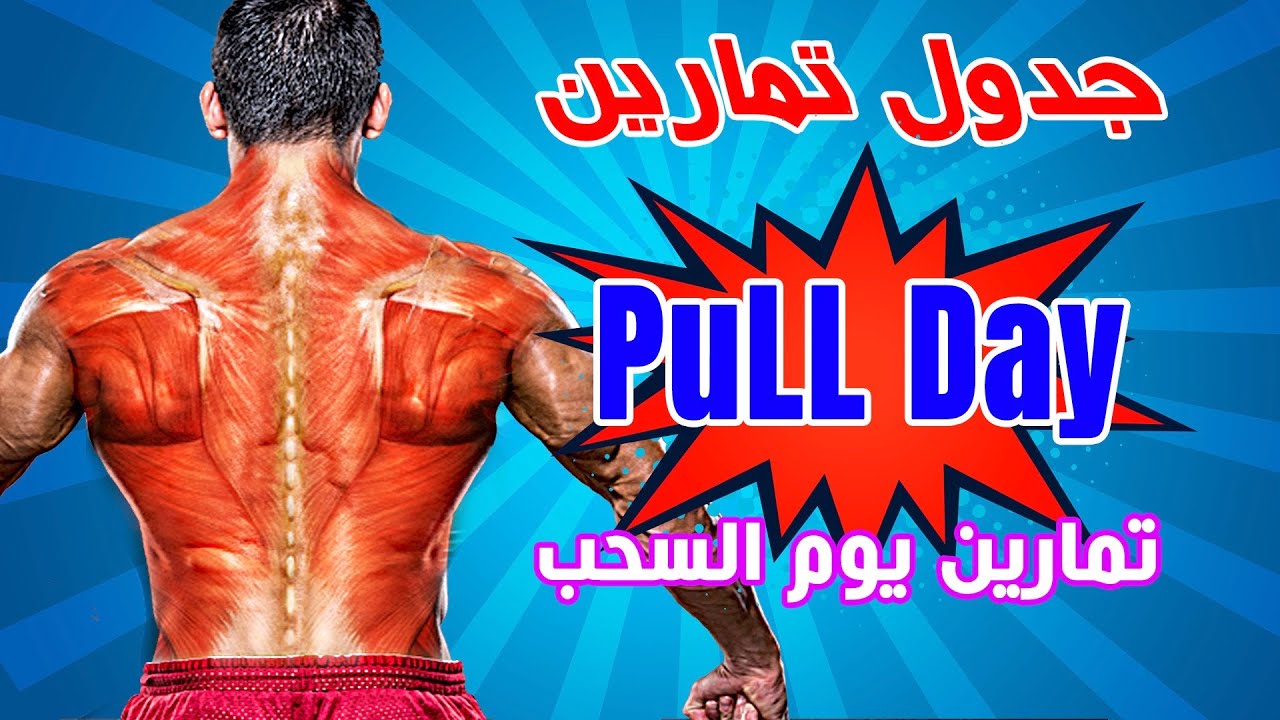 تمرينة PULL Day جيم كايرو جدول تمارين كمال الاجسام للمبتدئين 4 اسابيع Pull Workout PUSH PULL LEGS