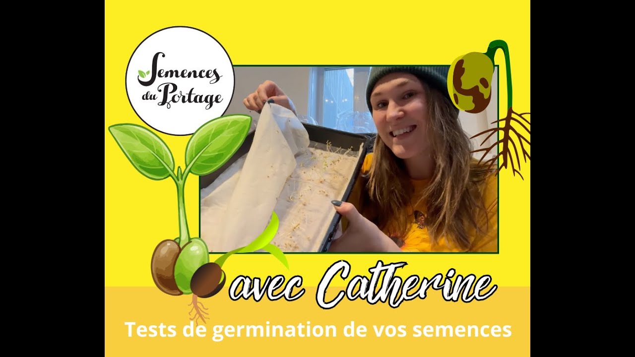Taux de Germination : Comment tester vos semences à la maison (Méthode facile)