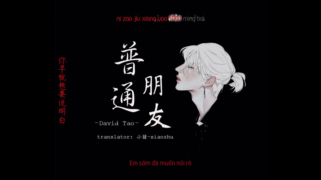 [ Vietsub+ Pinyin] Bạn Bè Bình Thường - David Tao| 普通朋友