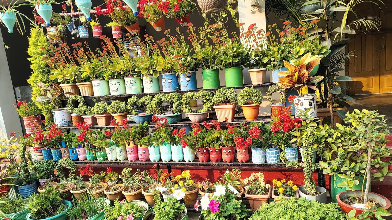 Setup change my beautiful garden 🏡🏡 February ful garden update 🌷🌹🏡👍☝️