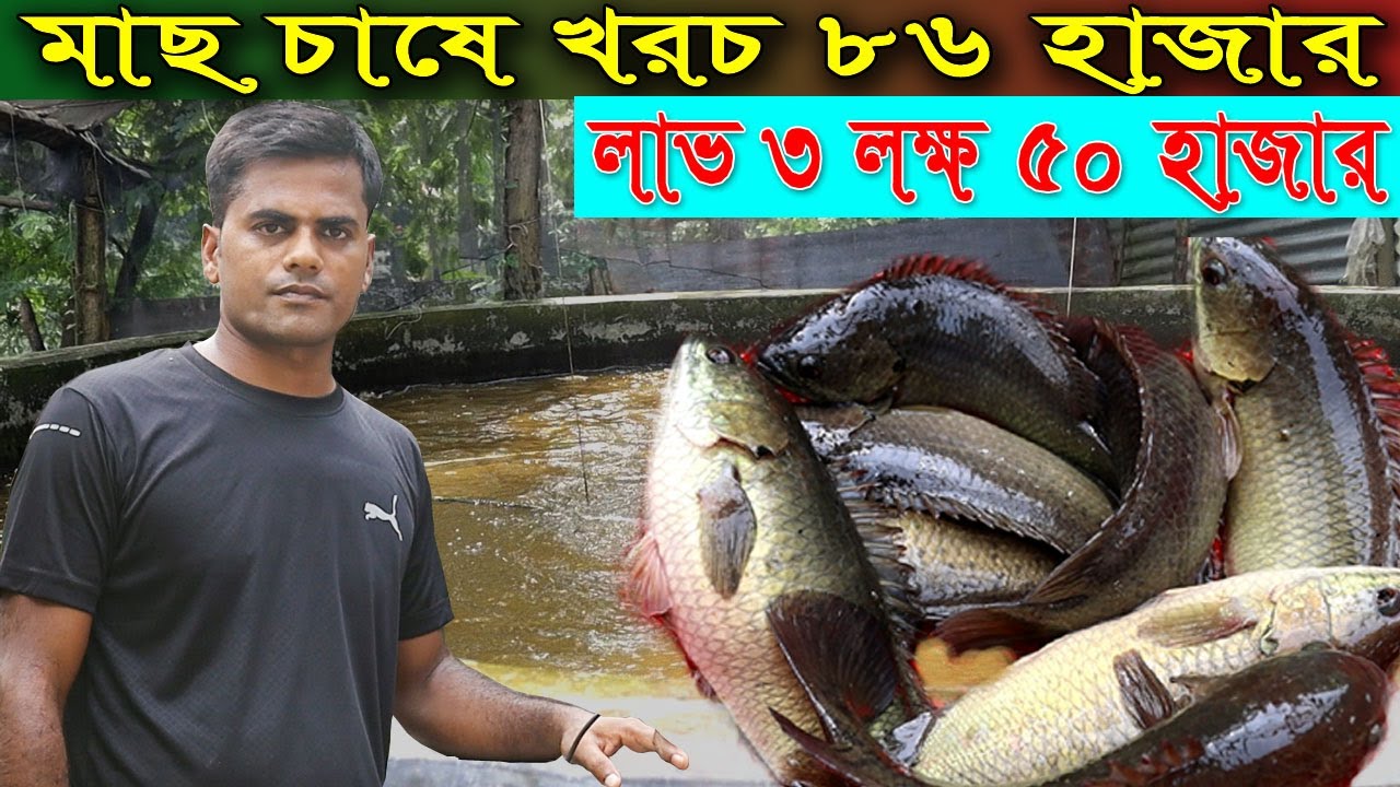 মাছ চাষে টোটাল খরচা ৮৬ হাজার টাকা  আর ৩ লক্ষ ৫০ হাজার টাকা লাভ ।