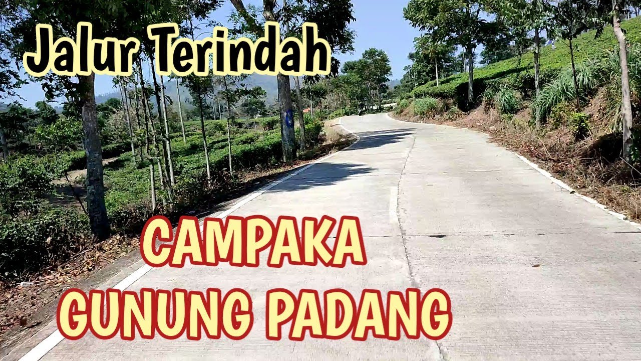 🔴MENUJU SUKANAGARA LEWAT KEBUN TEH CAMPAKA GUNUNG PADANG CIANJUR