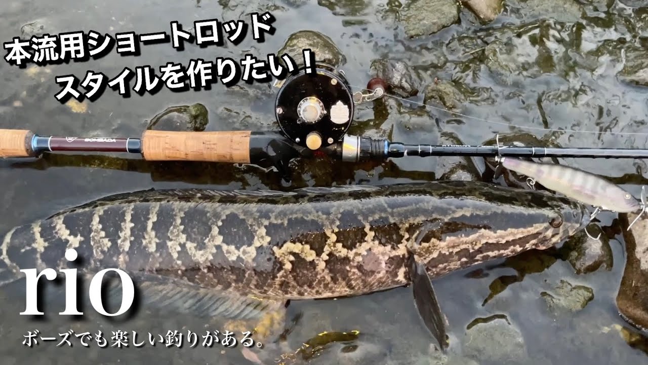 時代遅れでもショートロッドタックルを使いたい。【アンバサダータックルの探求】