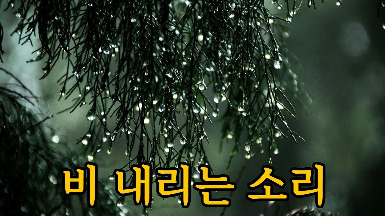 빗소리 5분 힐링 명상(수정, 스트레스해소, 우울증해소, 재충전, 쉬는시간 ...)