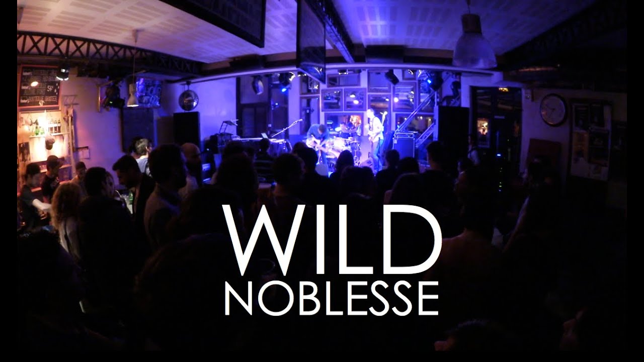 Wild Noblesse - Pillars of creation (live @ St des Seins, Toulouse)