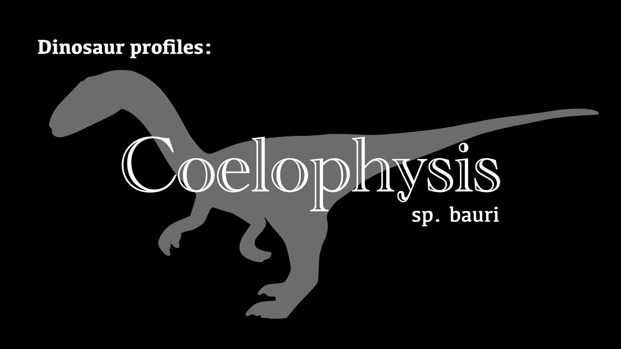 Dinosaur Profile: Coelophysis