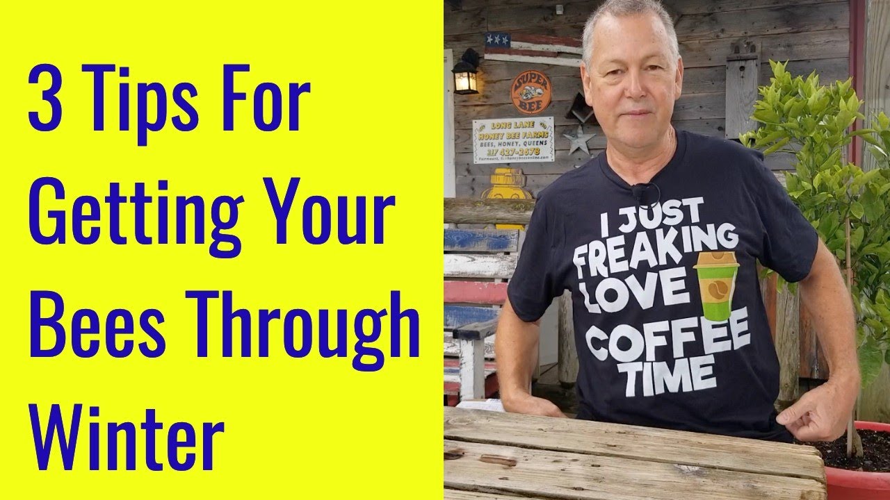 Beekeeping   |  Three Tips For Getting Your Bees Through The Winter
