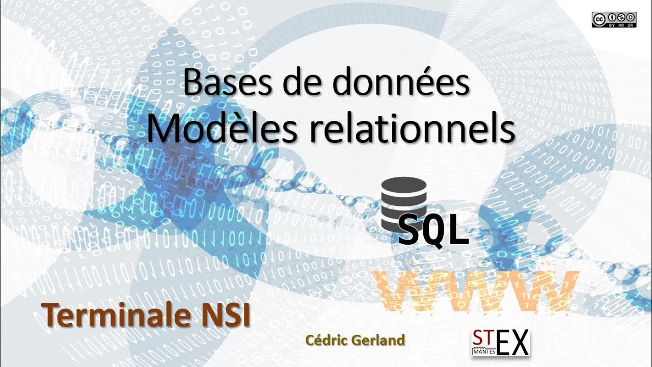 B1 Bases De Données Modèles Relationnels