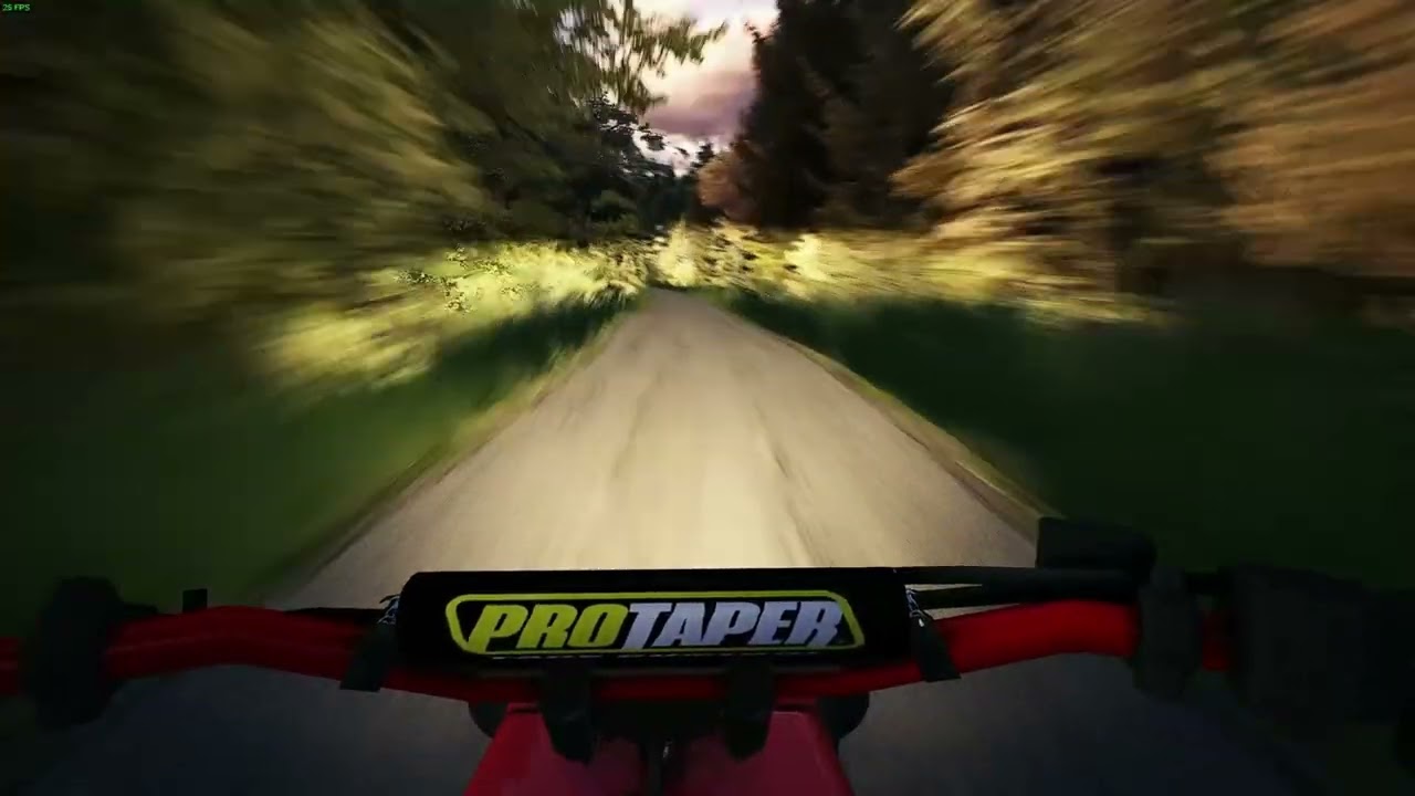 Assetto Corsa - Banshee 350cc pure sound