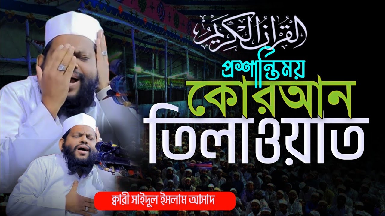 এমন তেলাওয়াত জীবনে একবার হলেও শুনুন | Most Beautiful Quran Tilawat | Qari Saidul Islam Asad Tilawat