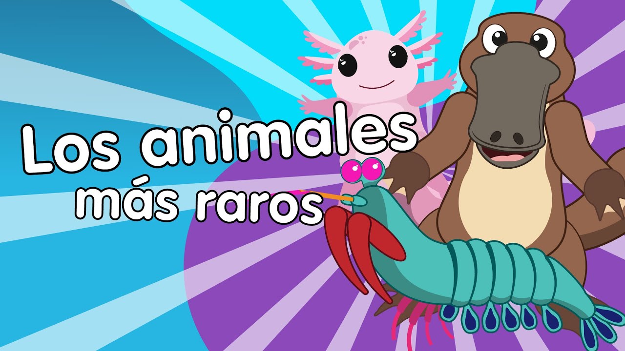 Los Animales m&aacute;s Raros - Canciones Infantiles