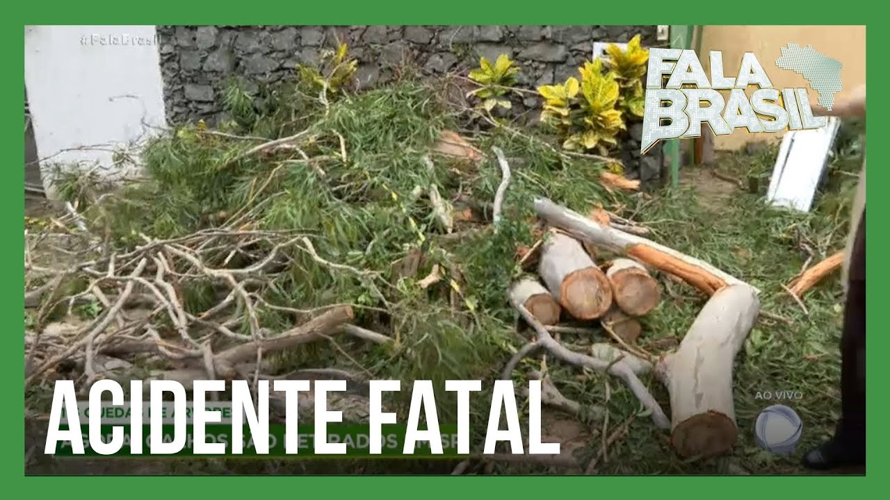 Chuva e vento forte derrubam 115 &aacute;rvores durante tempestade em SP