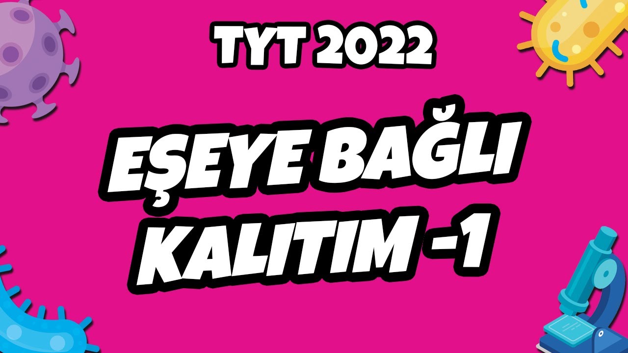 TYT Biyoloji - Eşeye Bağlı Kalıtım -1 | TYT Biyoloji 2022 #hedefekoş