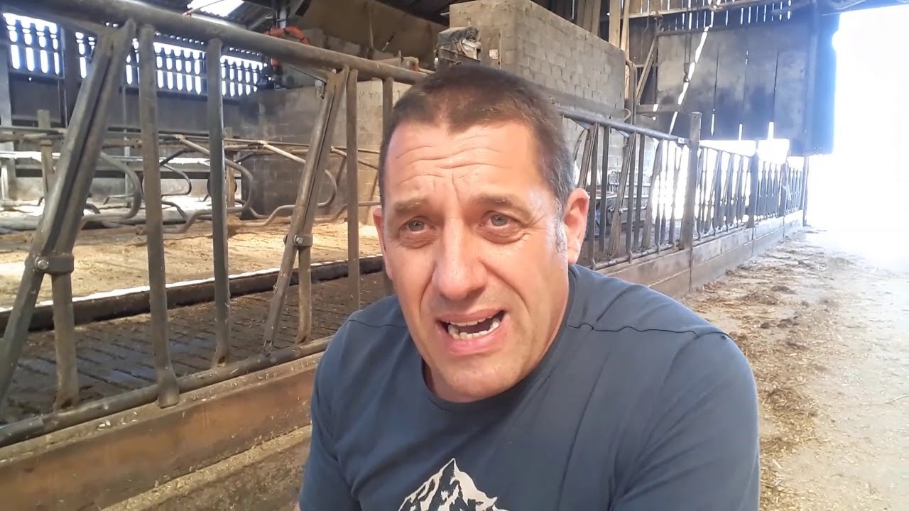 Vidéo n°11 stress thermique des vaches laitières