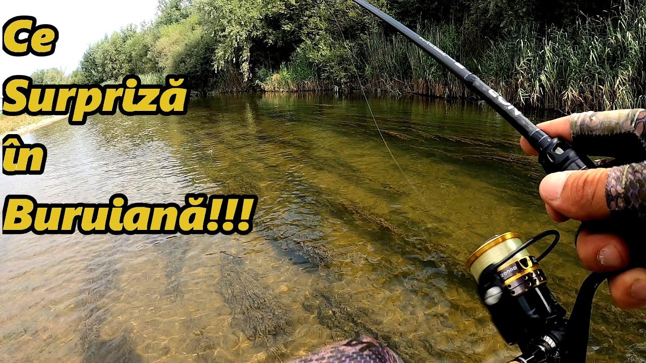 Am Pescuit la Clean -  Atacuri în Buruiană + Filmare subacvatică
