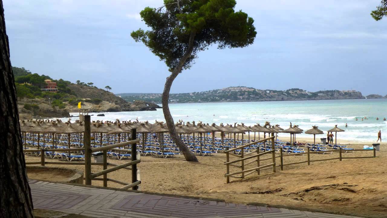 Hotel Botel Alcudiamar in Alcudia (Mallorca - Spanien) Bewertung