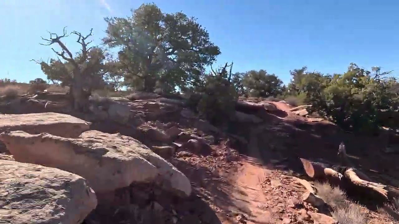 20251102V04 Navajo Rocks Loop
