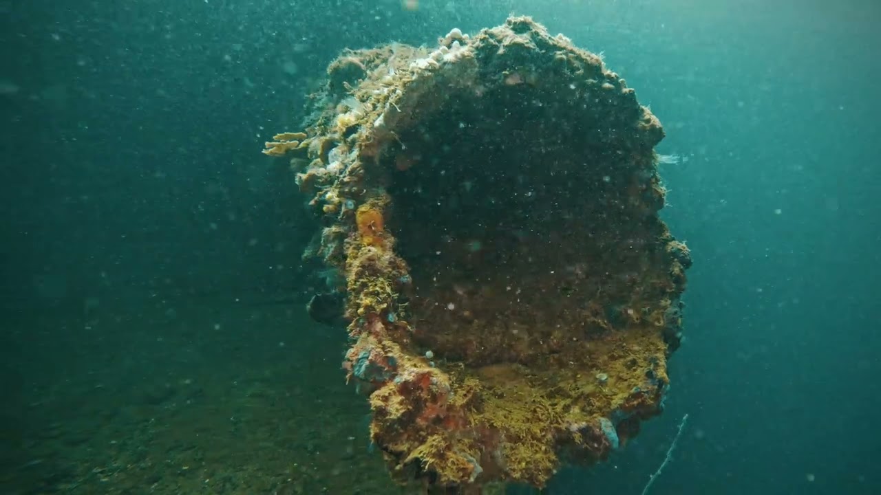 Diving Philippines - Subic Bay (Dive 2) | El Capitan Wreck Dive