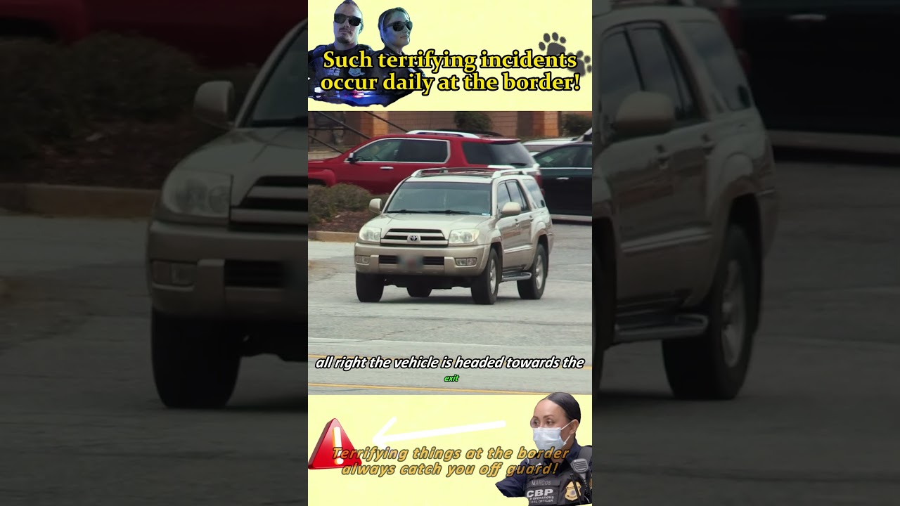 Terrifying things at the border always catch you off guard!#border #fypシ  #foryou  #trending#police
