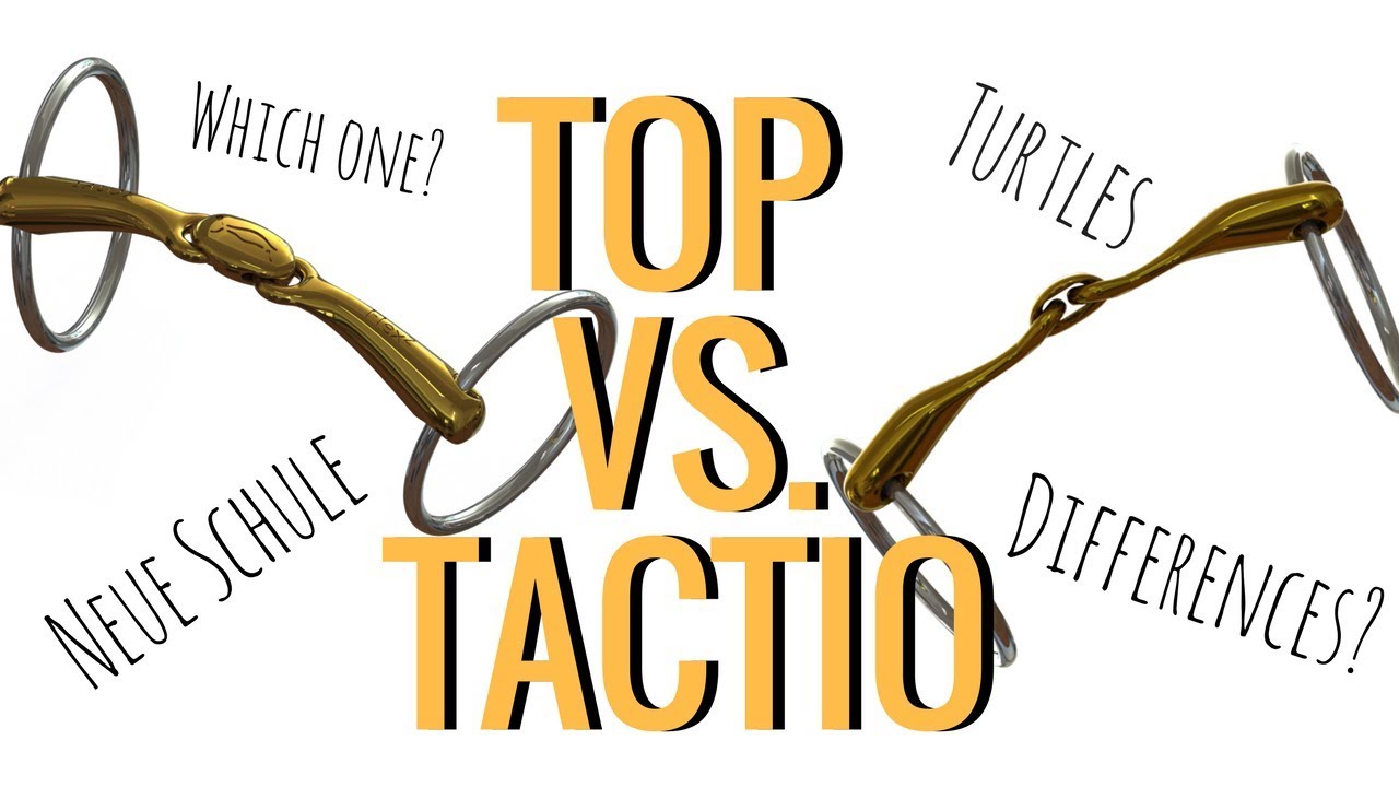 Key Differences Between the Neue Schule Turtle Top and Neue Schule Turtle Tactio