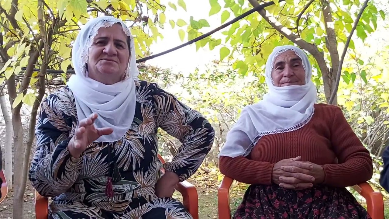Min nikaribû ji zilam re bêjim "albenî"