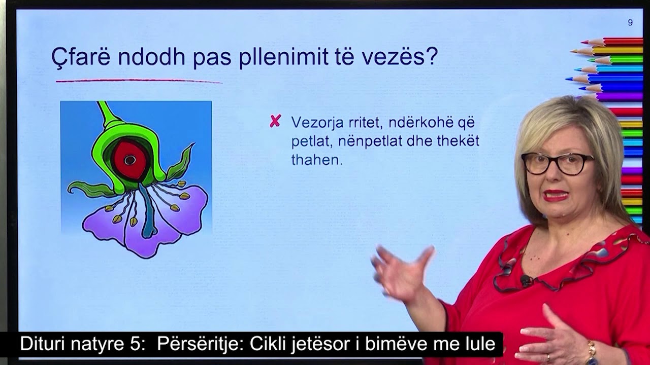 Dituri natyre 5 - Përsëritje: Cikli jetësor i bimëve me lule.