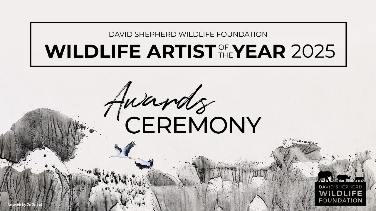 Wildlife Artist of the Year 2025 Awards Ceremony