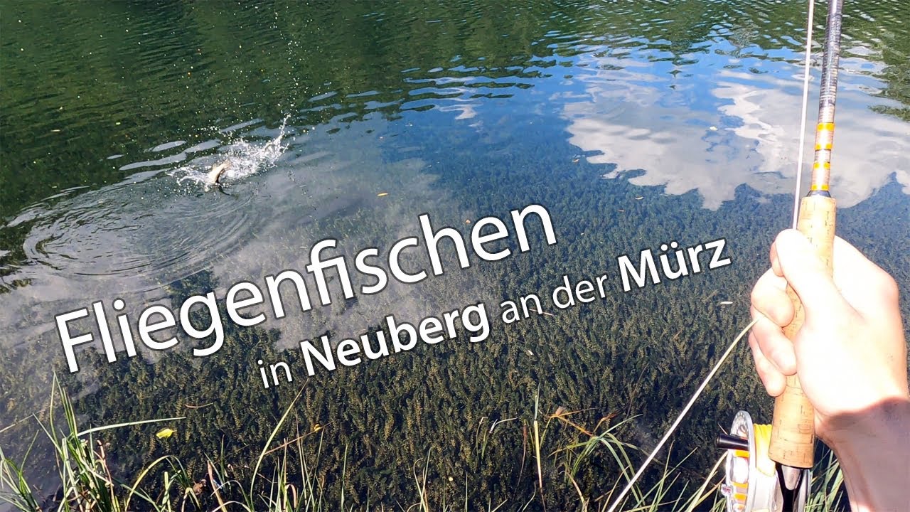 Fliegenfischen in der 