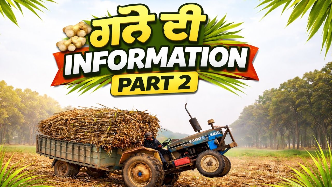 🌾 ਗੰਨੇ ਦੀ Information Part 2 | Sugarcane Farming Secrets 😱 | Kisano ke liye Gold 🔥
