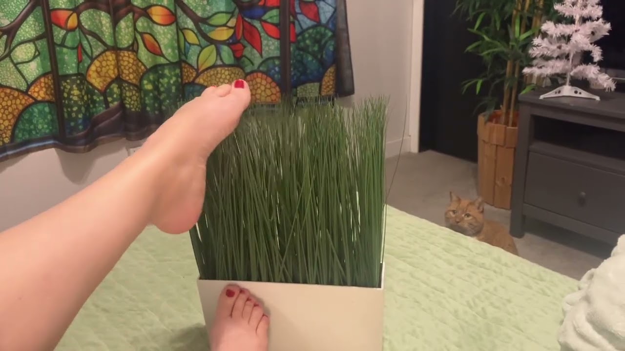 Feet tickle 