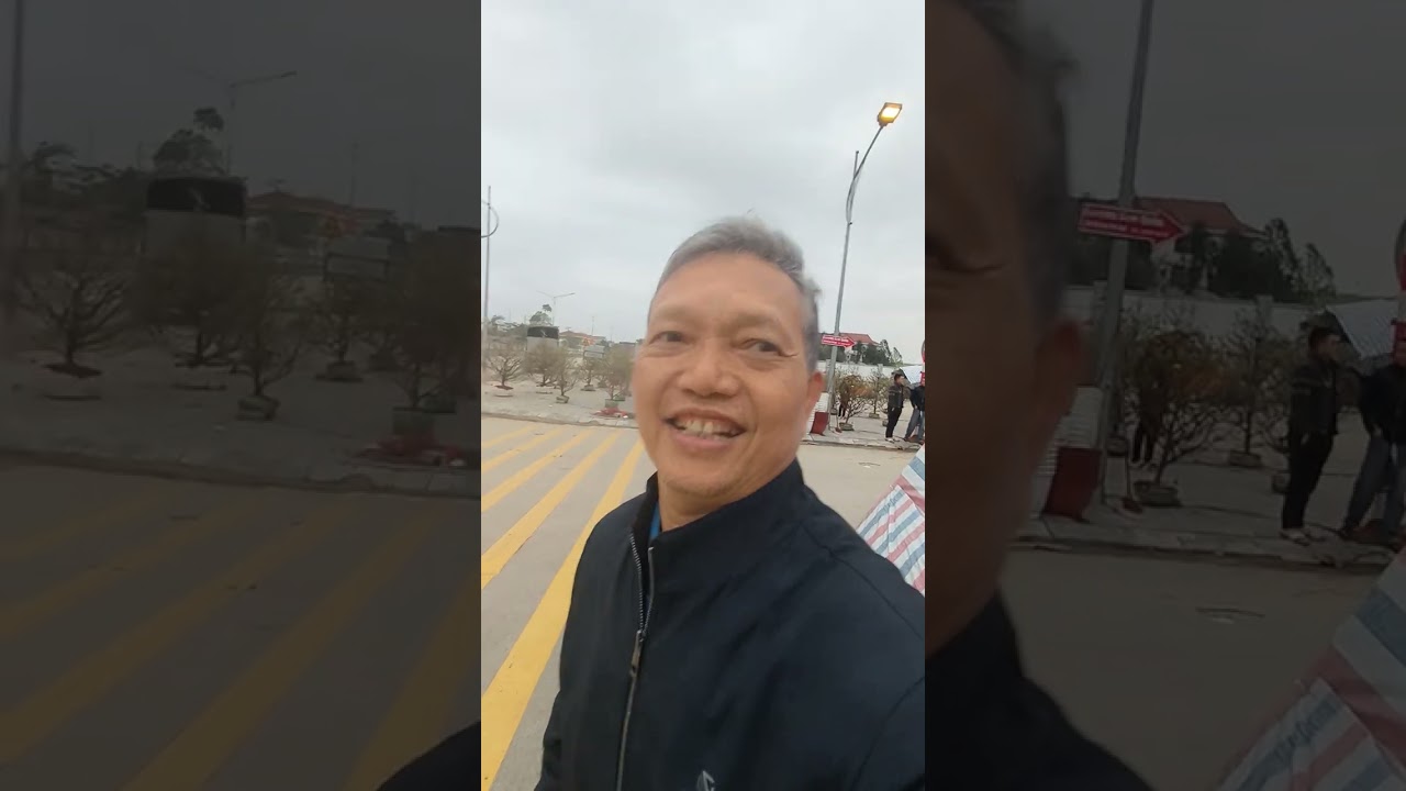 Mai vàng, đào quất đón Tết Bính Ngọ 