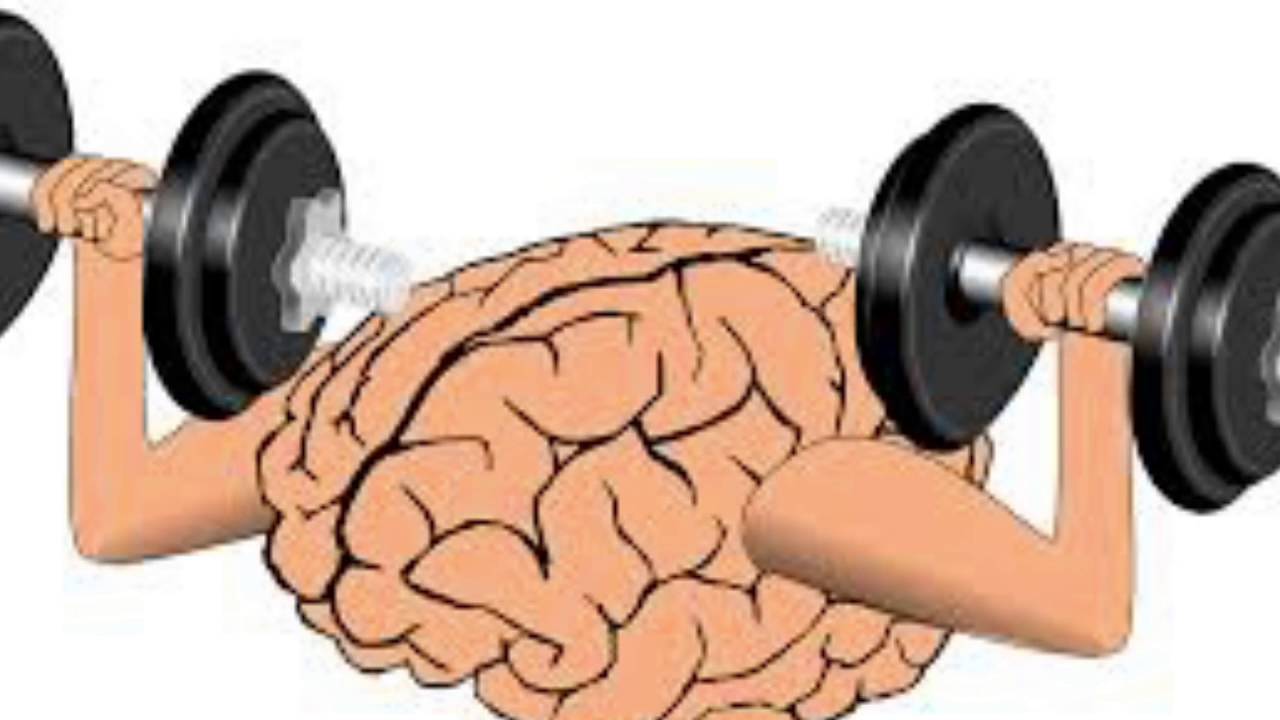 Gifted Brain Vs Typical Brain
