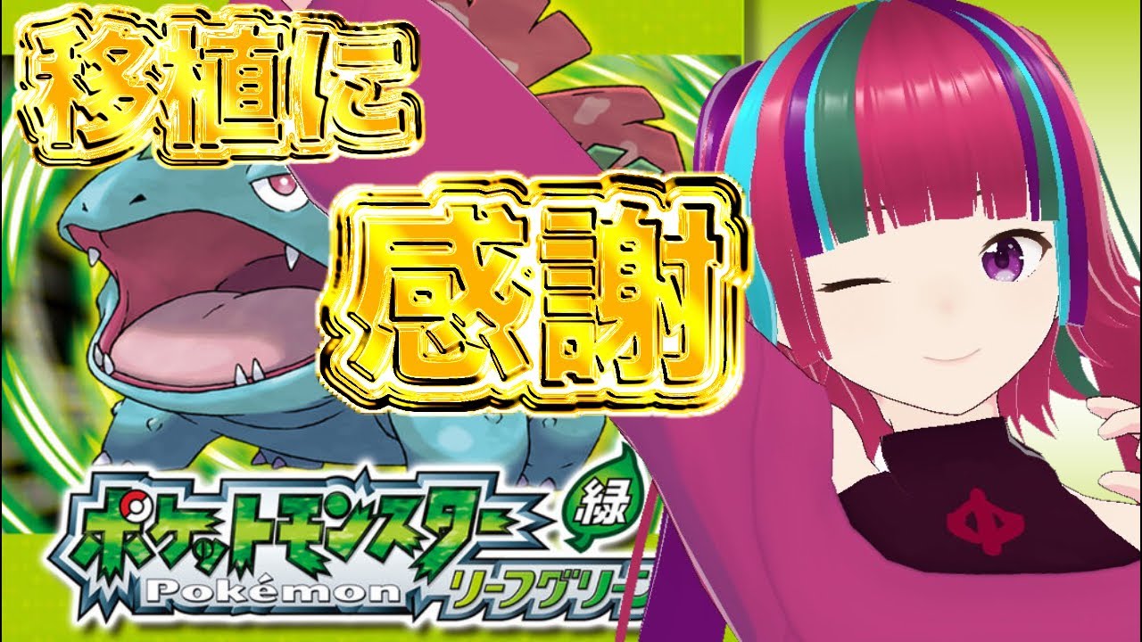 徳と感謝とタマムシシティボーイ